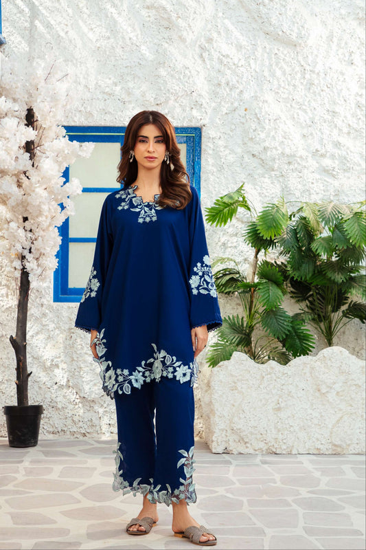 Zariya Co-Ord  12
