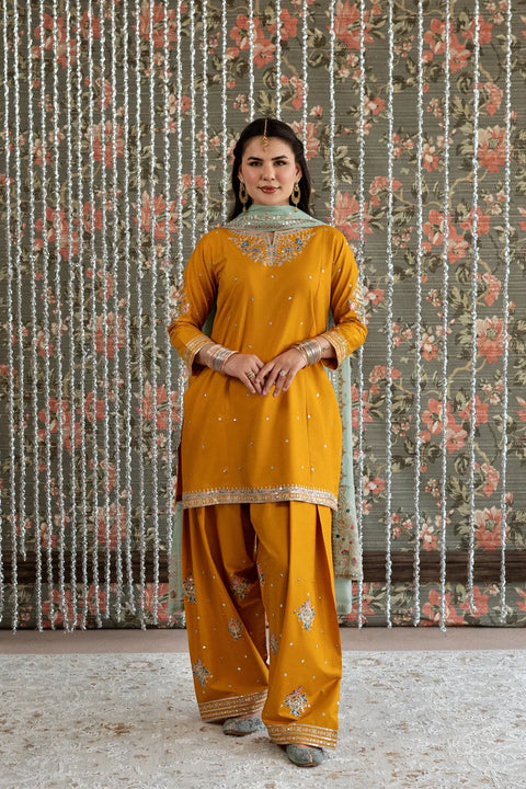Zariya Co-Ord  11