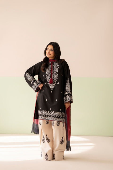 Zariya Co-Ord  6